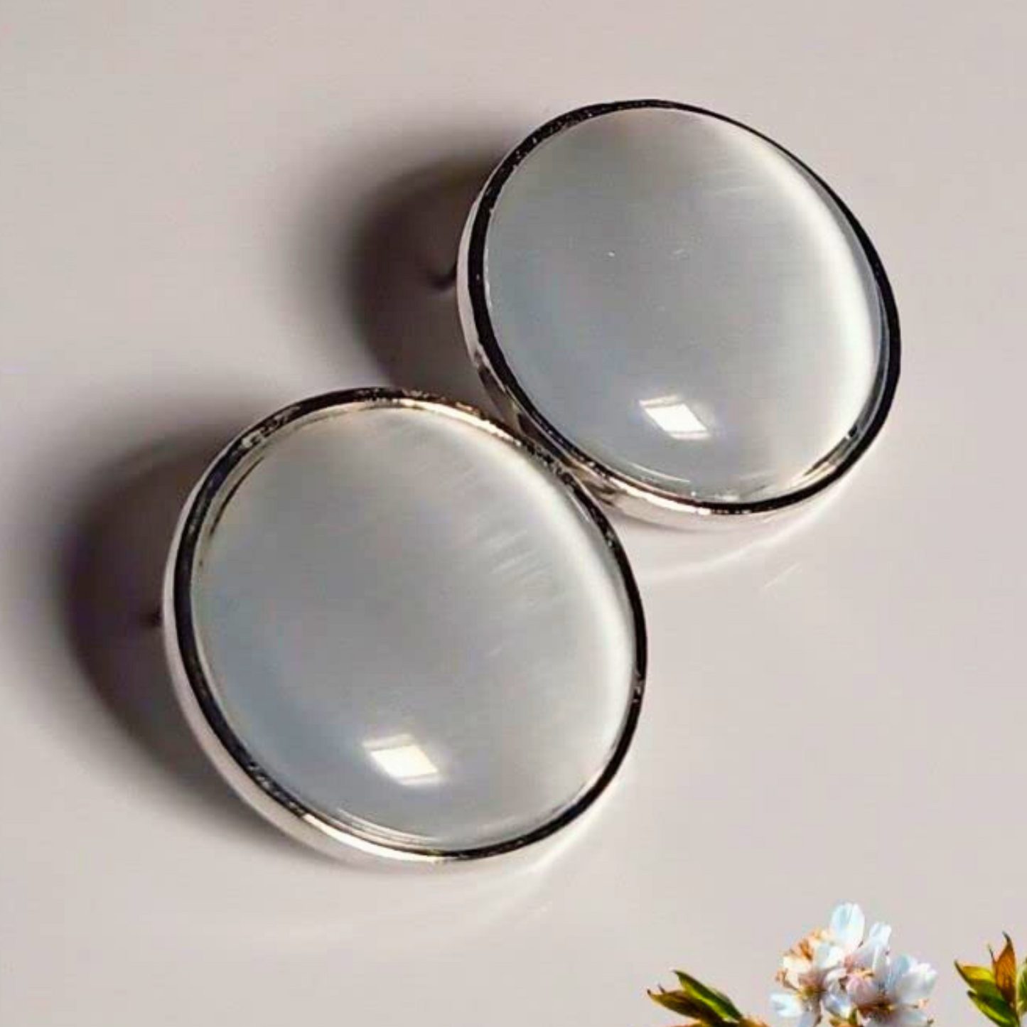 Two round, silver-framed glass bowls on a light background