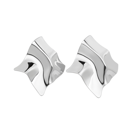 Pair of silver earrings on a white background