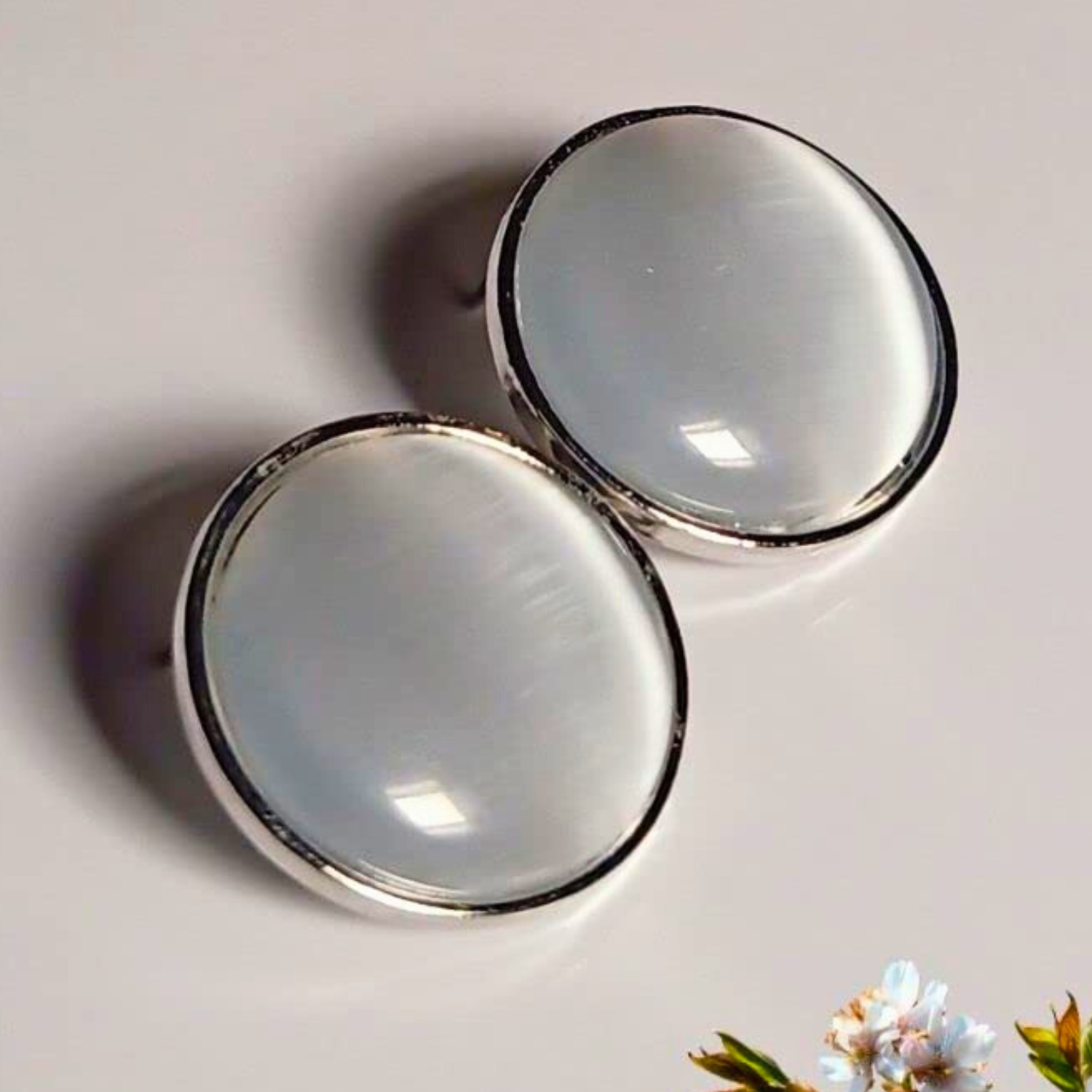 Two round, silver-framed glass bowls on a light background